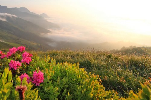 Sonnenaufgangswanderung auf den Kreuzkogel